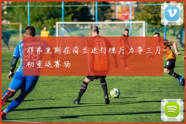 邓弗里斯在荷兰进行理疗力争三月初重返赛场