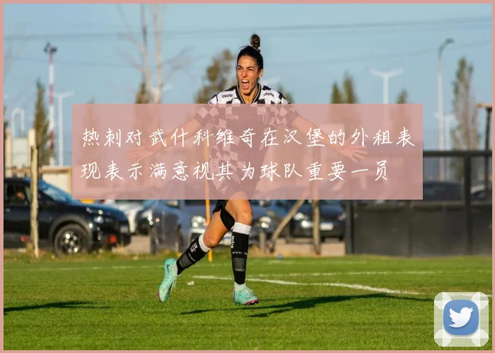 热刺对武什科维奇在汉堡的外租表现表示满意视其为球队重要一员